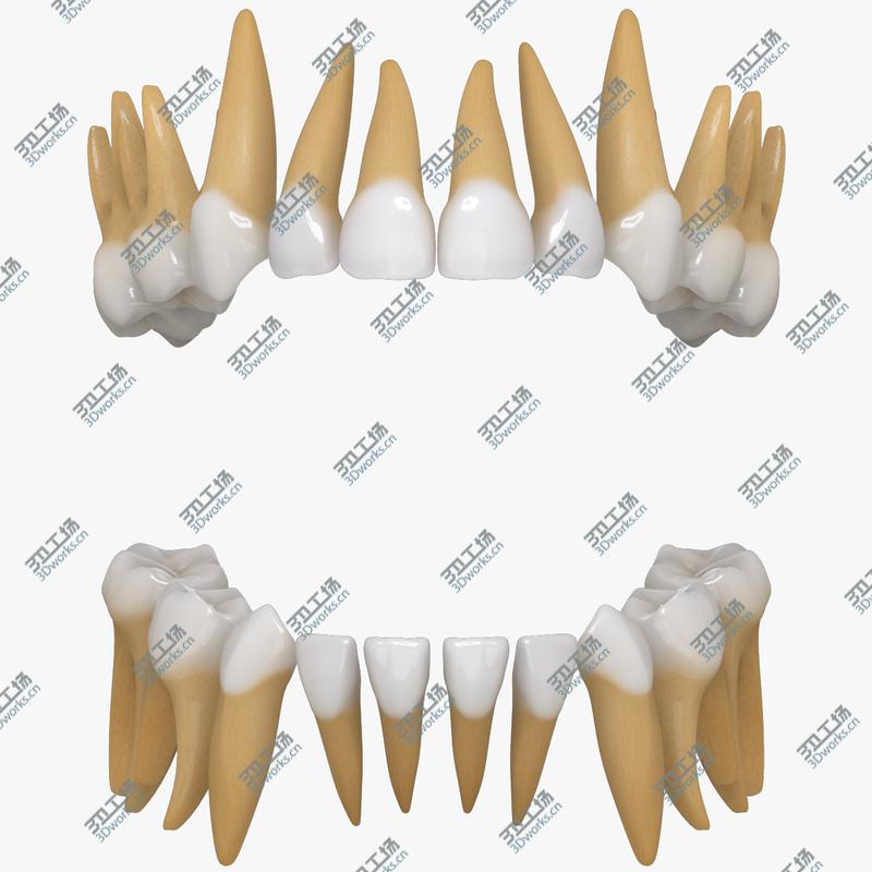 images/goods_img/2021040163/Primary Teeth/1.jpg